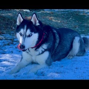 Meet your Posher, Marshall